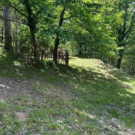 Апартаменты Mas En Cevennes - Brec De L'anhel, La Jaca